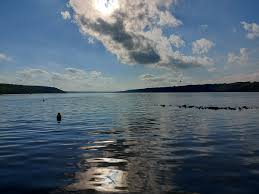 Homes For Sale in Pasqua Lake 
